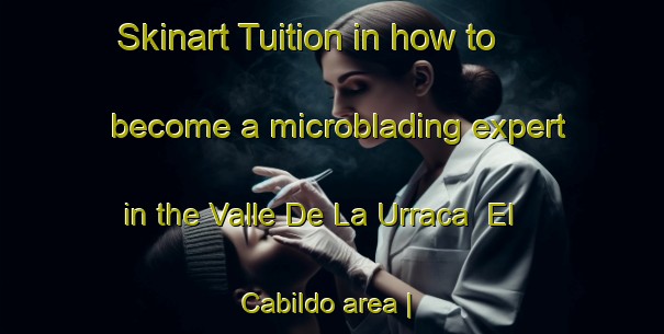 Skinart Tuition in how to become a microblading expert in the Valle De La Urraca  El Cabildo area | MicrobladingTraining | MicrobladingClasses | SkinartTraining-Mexico